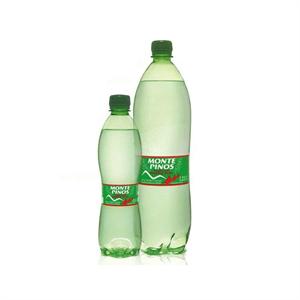 A-M.PINOS 1.25 C/GAS  PET 6 UDS