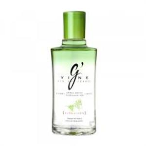 L-BOT. GIN G`VINE FLORAISON  0.70
