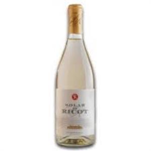V-SOLAR DE RICOT BLANCO